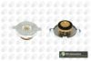 JAGUA C18460 Cap, radiator